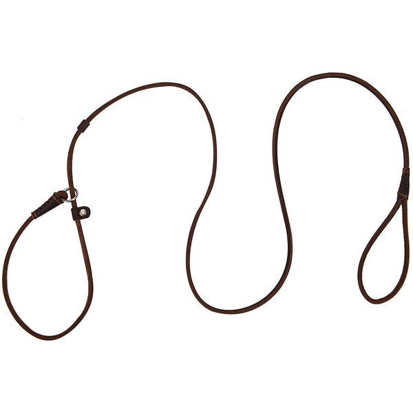 Real Leather Slip Dog Leash for Small Medium Dogs Lightweight Thin but Sturdy Adjustable Slip Lead Dog Leash Soft and Slim 5 ft x 1/5 inch