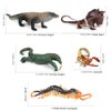 Fantarea 5 PCS Wild Life Jungle Animal Action Figures Model Goanna Chameleon Lizard Scorpion Scolopendra Party Favors Supplies Cake Toppers Set Toys for 5 6 7 8 Years Old Boys Girls Kid Toddlers