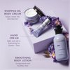 Nativa SPA by O Boticário, Lilac Hand Cream, Hydrating Quinoa Oil & BioRetinol Lotion with the Essence of Lilac Flowers, 1.7 Ounce