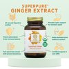 PURE SYNERGY SuperPure Ginger Extract | Ginger Root Extract Capsules | Organic Ginger Powder Digestion Supplement | for Stomach and Joint Support (60 Capsules)