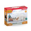 Schleich Wild Life Wild Animal Toy Playset for Boys and Girls Ages 3+, Antarctic Expedition with Arctic Animals