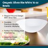 Blue Sky Organic Silver Rim White Bowls 10 Count - 16oz Disposable Elegant Plastic Dinnerware for Parties and Events