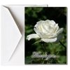 Funeral Memorial Service Thank You Cards with Envelopes (25 Count) FTKC1015 White Rose (Family Name Custom Printed - Enter Family Name)