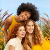 VERB Curl Cream – Vegan Curl Styling Cream – Lightweight Leave In Curl Defining Cream – Anti-Frizz Curl Cream Provides Shape, Softness and Hold – Paraben Free, Sulfate Free Curl Styler, 5.3 fl oz