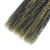 Niciitysi P1B/27 Kinky Curly Bundles Highlight Human Hair Bundles Honey Blonde Curly Wave Bundles 24 26 28 inch Double Weft Brazilian Virgin Remy Hair Extensions Two Tone Black and Blonde Bundles