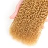 26 28 30 Inch Honey Blonde Bundles Color #27 Kinky Curly Human Hair Bundles Brazilian Unprocessed Virgin Hair Color #27 Bundles Human Hair Honey Blonde Curly Bundles Hair Weave Blonde Bundles