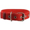 Cotton Web Dog Collar 3/4" Wide. Fits 13"-17" Neck. Border Terrier, Boston Terrier, Spaniel