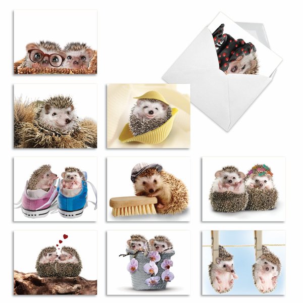 The Best Card Company - 10 Wildlife Thank You Greeting Cards w/Envelopes, Cute Animal Boxed Notes Stationery - Cards from the Hedge M6541TYG