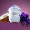 LOVERY Lavender and Coconut Body Butter - 6oz Ultra-Hydrating Shea Butter Body Cream Enriched with Jojoba Oil and Vitamin E - Natural Skin Moisturizer for Men and Women - Normal to Dry Skin