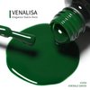 VENALISA Gel Nail Polish, 12ml Emerald Green Color Soak Off UV LED Nail Gel Polish Nail Art Starter Manicure Salon DIY at Home, 0.43 OZ