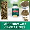 Chanca Piedra 180 Capsules Stone Breaker Kidney Supplement All-Natural Chancapiedra Stonebreaker from Peru