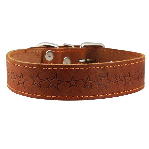 Genuine Leather Dog Collar Stars Pattern Brown 4 Sizes (Neck Circumf: 18"-21"; 1.5" Wide)