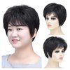 SYXLCYGG Short Black Wig Old Lady Wigs Ladies Synthetic Older White Womens Hair Wigs Fluffy, Full Free Wig Cap
