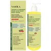 Nasola Lemon Turmeric Kojic Acid Soap Body Wash - Natural Gentle Face & Skin Cleanser with Vitamin C, Shea Butter, Collagen, Niacinamide, Hyaluronic Acid, and Aloe Vera - 11.83 Fl Oz