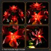 LIGHTAILING Light for Lego-10370 Poinsettia - Led Lighting Kit Compatible with Lego Building Blocks Model - NOT Included The Model Set