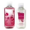 Bath and Body Work CHERRY BLOSSOM Duo Bundle - Body Wash and Body Lotion - Full Size