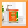 Cantu Avocado Paraben-Free Hydrating Styling Gel, 18.5 Ounce (Packaging May Vary)