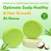 Rosemary Shampoo and Conditioner Bar Set 3 - Hair Growth, Regrowth, and Anti Hair Loss - Natural Solid Shampoo Bars for Women with Straight, Curly Hair for Thinning, Thickening Sulfate & Silicone free
