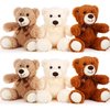 HyDren 6 Pcs Bears Bulk Stuffed Animal Small Bears Baby Shower Bears Plush Toys Employee Appreciation Easter Graduation Gifts(White, Brown, Beige, Long Plush)