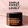 Brooklyn Botany Lip Scrub Exfoliator 1 oz – Lip Moisturizer for Dry Lips and Chapped Lips – Gentle Lip Exfoliator for Smooth and Brighter Lips – Peppermint Flavor