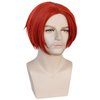 HUNIGIR Mens Red Wig Middle Part Red Anime Wig Red Cosplay Wig Boys Heat Resistant Synthetic Halloween Costume Wig (Red)