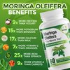Pure Moringa Oleifera Green Superfood Capsules with Vitamin C, Omega 3 & Amino Acids - Boosts Energy, Mood, Memory, Immune Support - Made from Organic Moringa, Non-GMO - 60 Capsules (1 Bottle)