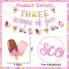 Jollyboom Three Scoops of Fun Banner Ice Cream 3rd Birthday Party Decoration for Girls, Glitter for Girl Summer Ice Cream Theme 3rd So Sweet Birthday Party Decoration
