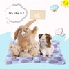 4 Pieces Rabbit Bunny Bed Guinea Pig Bed Mats Plush Bunny Pad Mats Small Animal Dog Cat Bed Dog Crate Kennel Pad Mat Hamster Cozy Dog Bed Mat for Small Animal (Heart Pattern, 10 x 11 Inch)