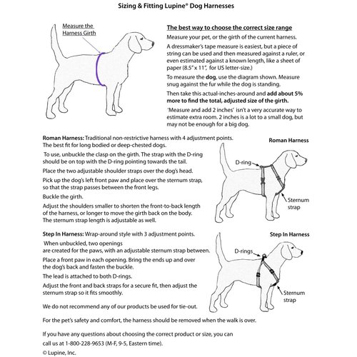 LupinePet Basics 1" Red 20-32" Adjustable Roman Dog Harness for Medium Dogs