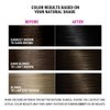 Better Natured Permanent 3N Dark Natural Brown Hair Color Dye - Naturally-derived, Vegan & 100% Gray Coverage that Lasts up to 8 Weeks