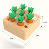 Ancaixin Montessori Toys for Babies 6-12 Months, Wooden Toys for 1 Year Old Boys and Girls, Educational Carrot Harvest Toy for Toddlers, Shape Sorting Matching Puzzle, Developmental Birthday Gifts