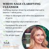Sia Botanics Clarifying Facial Cleanser (74ml/2.5oz Eco Tube) | Face Wash w/White Sage, Activated Charcoal, Tea Tree | Natural, Clean, Botanical Skincare for Women