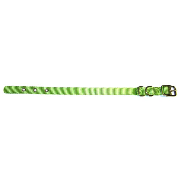 Hamilton 5/8-Inch by 16-Inch Single Thick Nylon Deluxe Dog Collar, Lime Green