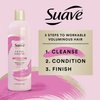 Suave Pink Up The Volume Shampoo For Volumized Hair Volumizing Sulfate Free Shampoo 16.5oz