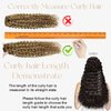 Hyssiet Curly Clip Ins Hair #2 Dark Brown 18 Inch Wavy Human Hair Clip in Extensions 120g Invisible Durable Curly Real Human Hair Extensions 7pcs with 16 Clips for Full Head Curly Clip Hair