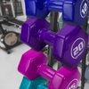 Brightbells Vinyl Hex Hand Weights, Spectrum Series I: Tropical - Colorful Coated Set of Non-slip Dumbbell Free Weight Pairs - Home & Gym Equipment (1)