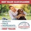 Lloyd & Lucy's Hip and Joint Supplement for Dogs - Chewable Multivitamin with Glucosamine, Chondroitin, MSM and Vitamin C - Healthy Liver Flavored Treat Pets Will Love - 180 Ct Tablets