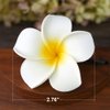 Flower Hair Clips Plumeria Hawaiian Hawaii Hair Clip Set Floral Barrettes Women Tropical Foam Wedding Vacation Beach Party Decorations Cosplay Costume Handmade Hair Accessories Plumeria White 12 Pack