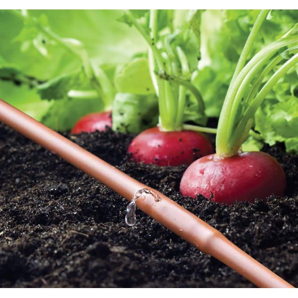 Raindrip R567DT Drip Irrigation Watering Kit for Vegetable Gardens Includes 50 feet of 1/4-Inch Dripline, 3/4-Inch FHT Adapter, 10 Hold-Down Stakes, 1 End Plug