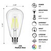 winsaLED Dimmable LED Edison Bulbs 40 Watts Equivalent, 4 Watt LED Filament Bulb, 5000K Daylight ST19 Light Bulb, 450LM E26 Vintage LED Bulbs for Light Fixtures 12 Pack
