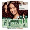 Clairol Natural Instincts Demi-Permanent Hair Dye, 4RV Dark Burgundy Hair Color, Pack of 3