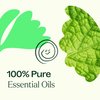 Plant Therapy Gut Aid Essential Oil Blend 10 mL (1/3 oz) 100% Pure, Undiluted, Natural Aromatherapy for Upset Stomach Relief