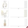 The Best Card Company 10 Blank Wedding All Occasion Card Assortment Box Set (4.8 x 6.6 Inch) w/Envelopes (10 Designs) Bride-itude AMQ5052WBB-B1x10