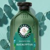Herbal Essences Eucalyptus Sulfate Free Shampoo, Scalp Balance, 13.5 Fl Oz, with Certified Camellia Oil and Aloe Vera, For All Hair Types, Especially Dry Scalp
