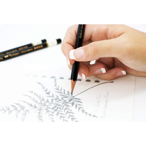 Tombow 51507 MONO Drawing Pencil, 2B, Graphite 12-Pack