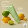 ANILLO Lime Sunday Refresh Hair Conditioner 150ml / 5.07 fl. Oz, Daily Vegan Hair Care with Green Tangerine Extract, Protein Complex, Ceramide for Oily Scalp, Paraben Free