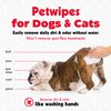 Petkin Pet Wipes for Dogs and Cats, 100 Large Wipes - Removes Dirt & Odor Like Washing Hands - Cleans Ears, Face, Butt, Eye Area - Convenient, Ideal for Home or Travel - 1 Pack of 100 Wipes