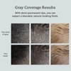 Colorsmith Hair & Beard Color for Blending Grays 2 pack - Light Ash Brown - Ammonia-Free Complete Men’s At-home Beard & Hair Dye Kit, Professional-grade Demi-Permanent Hair Color (6.1)