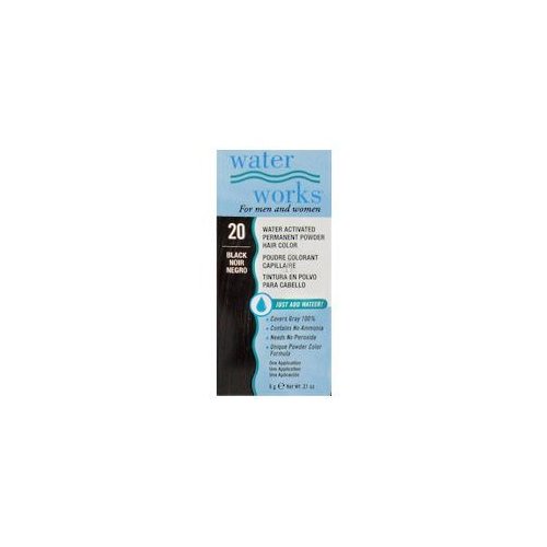 Water Works Permanent Powder Hair Color - #20 Black .2 oz. (Pack of 2)