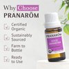 Pranarom - Good Samaritan Essential Oil Blend (15ml) -100% Pure Essential Oil for Diffusing and Cleaning | Lemon, Rosemary, Eucalyptus, Cinnamon
